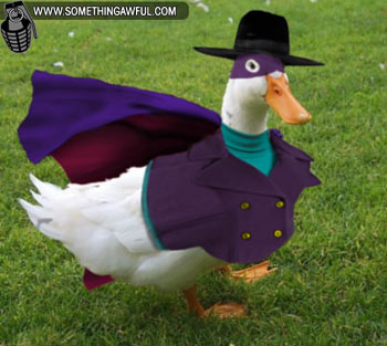 DarkWing.jpg