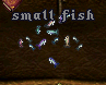 Fish.bmp