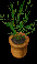 flowerpot3.jpg