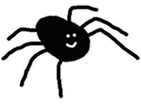 spider.jpg