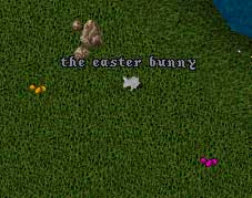 The Easter Bunny and his crimes agaist our lands.