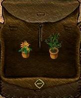 Sultan of Swing_4-8_23.35.jpg