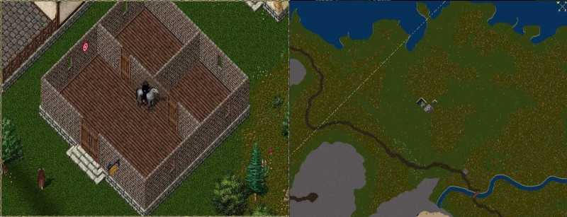 large.jpg