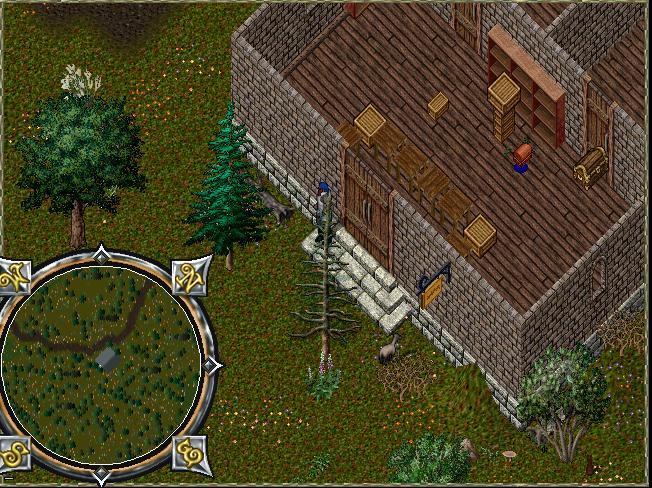 Yew Brick 1.JPG