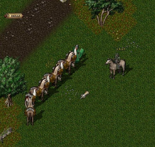 Jill Stihl_4-21_22.21.jpg