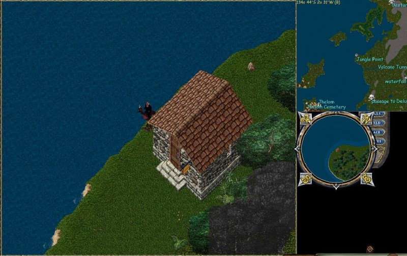junglepoint.jpg