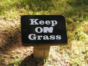 463017_keep_on_grass.JPG