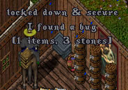 The Chest