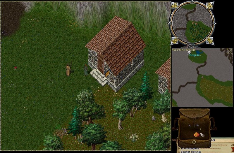 DespiseHouse.jpg