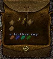 Leather caps.JPG
