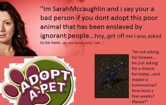 sarahmclaughlin.jpg