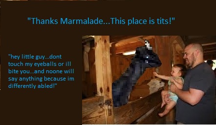 ostardfarm2.jpg