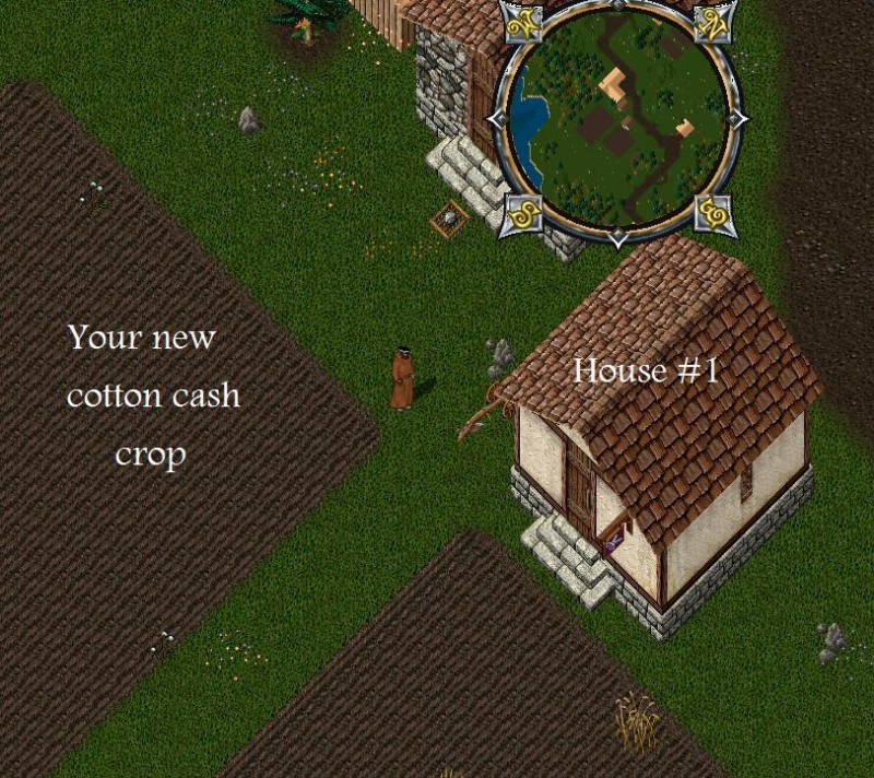 CF3.jpg