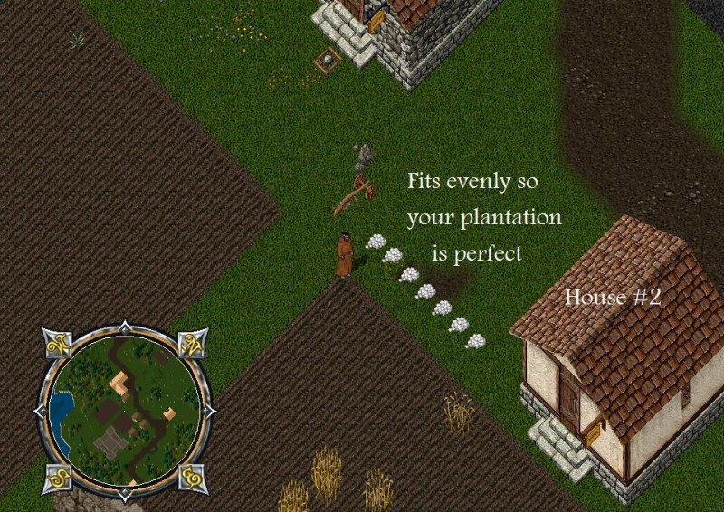 CF2.jpg
