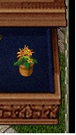 flowerpot.jpg