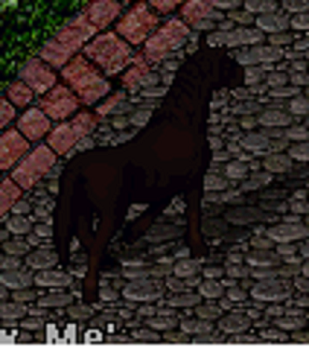 Red Mare.png