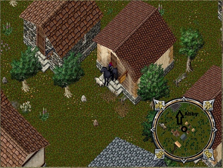 Yew.jpg